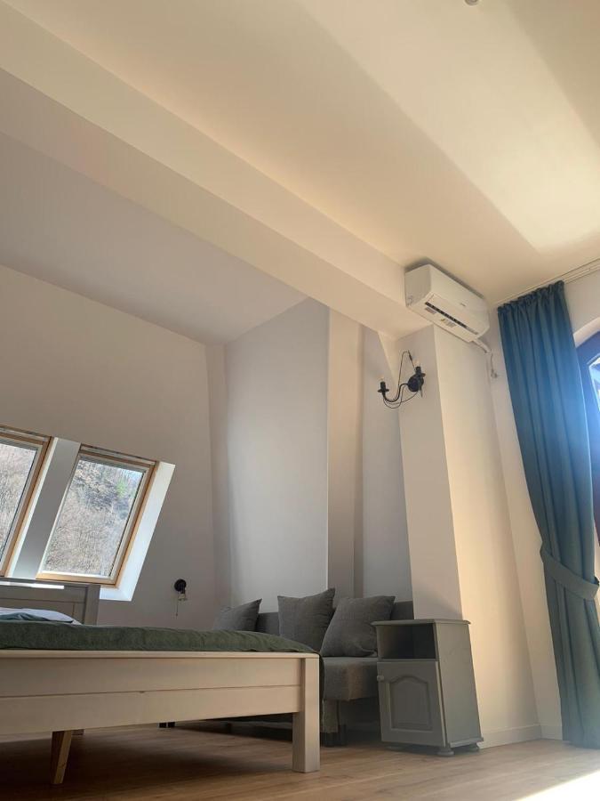 Băile Olăneşti Pension Casa Vanatorilor מראה חיצוני תמונה