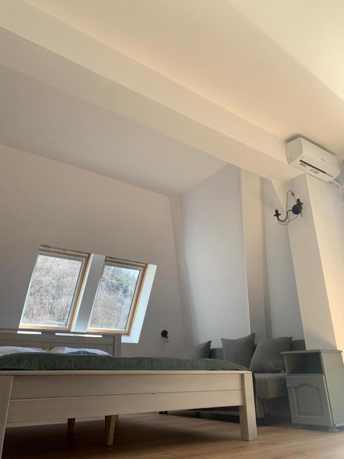 Băile Olăneşti Pension Casa Vanatorilor מראה חיצוני תמונה