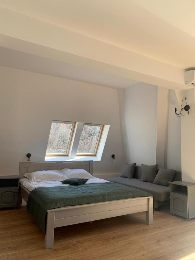 Băile Olăneşti Pension Casa Vanatorilor מראה חיצוני תמונה