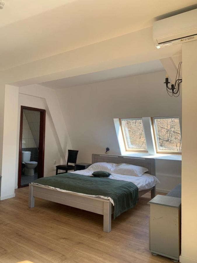Băile Olăneşti Pension Casa Vanatorilor מראה חיצוני תמונה