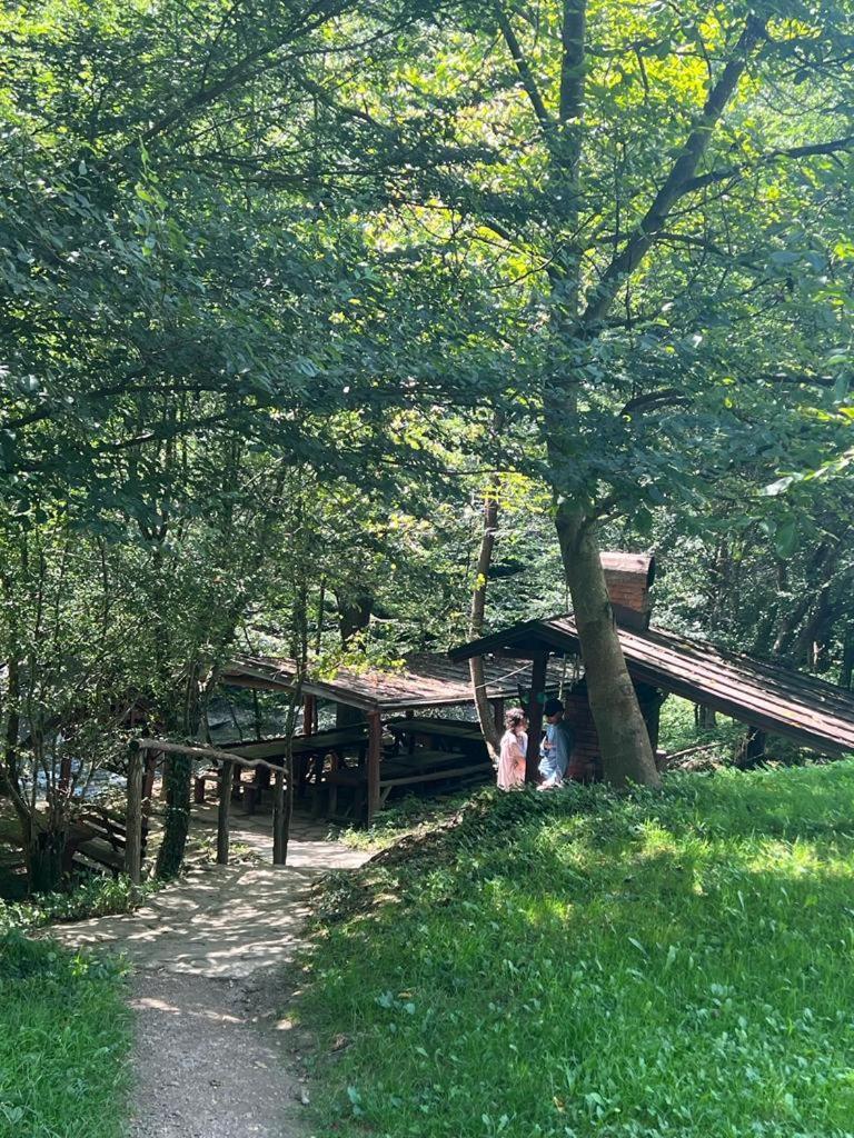 Băile Olăneşti Pension Casa Vanatorilor מראה חיצוני תמונה