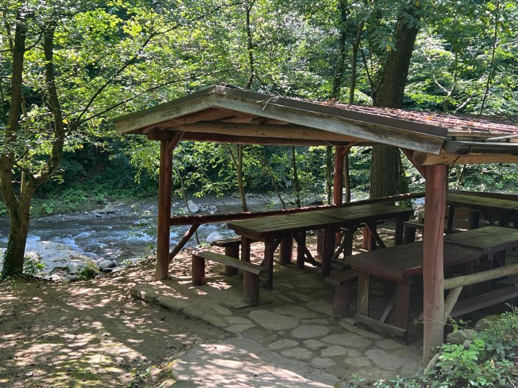 Băile Olăneşti Pension Casa Vanatorilor מראה חיצוני תמונה