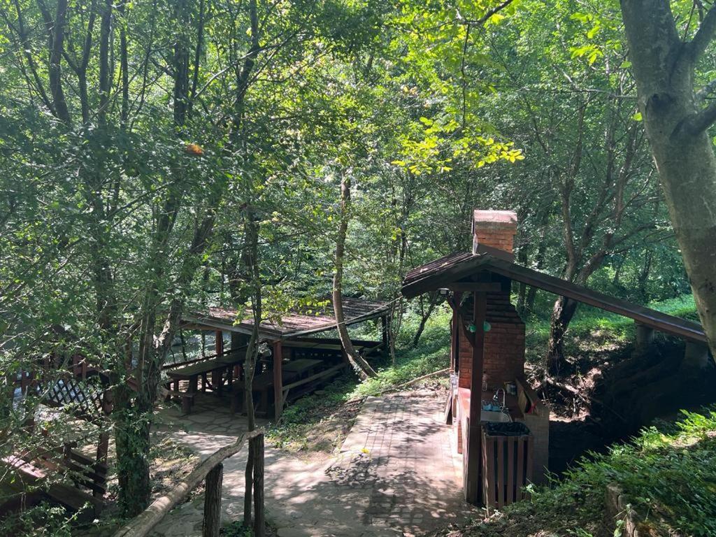 Băile Olăneşti Pension Casa Vanatorilor מראה חיצוני תמונה