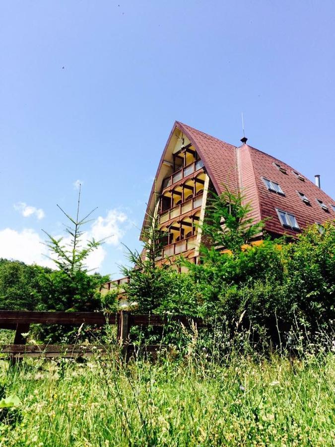 Băile Olăneşti Pension Casa Vanatorilor מראה חיצוני תמונה
