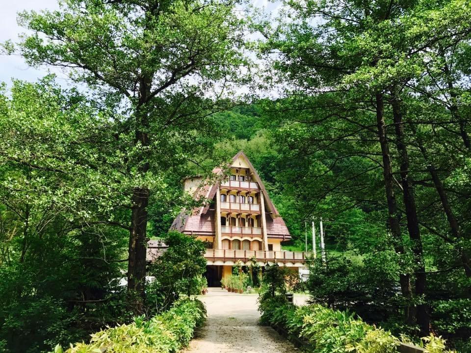 Băile Olăneşti Pension Casa Vanatorilor מראה חיצוני תמונה