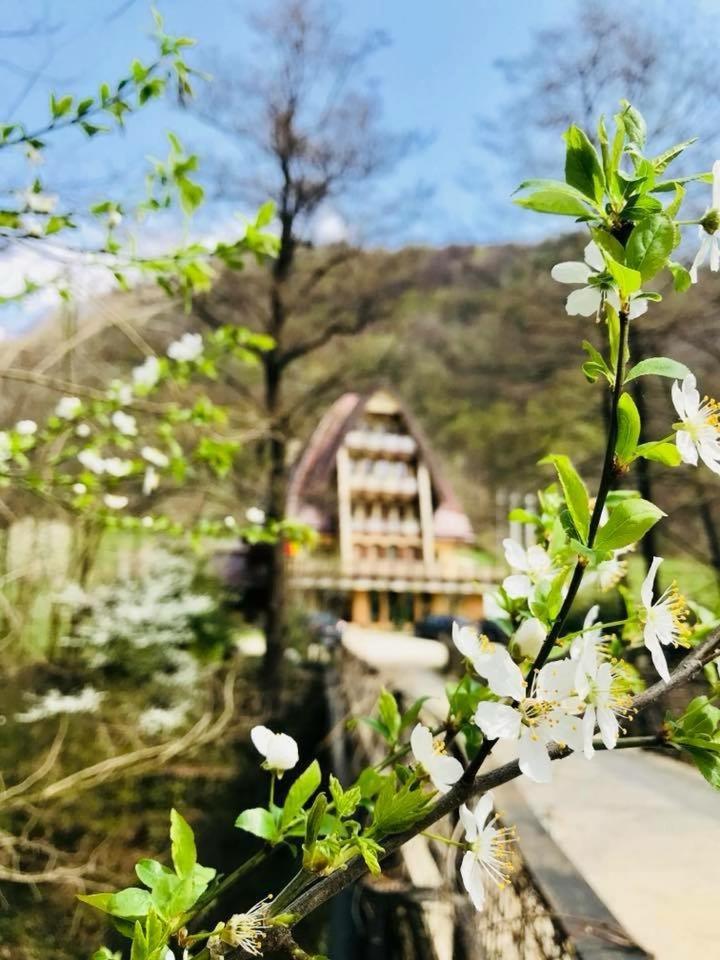 Băile Olăneşti Pension Casa Vanatorilor מראה חיצוני תמונה