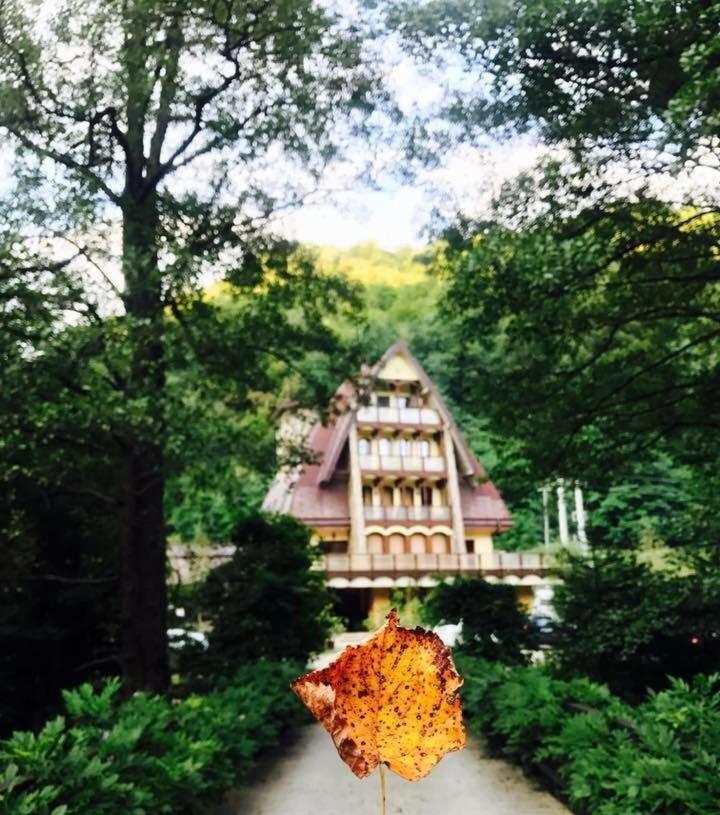 Băile Olăneşti Pension Casa Vanatorilor מראה חיצוני תמונה
