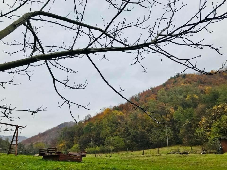 Băile Olăneşti Pension Casa Vanatorilor מראה חיצוני תמונה