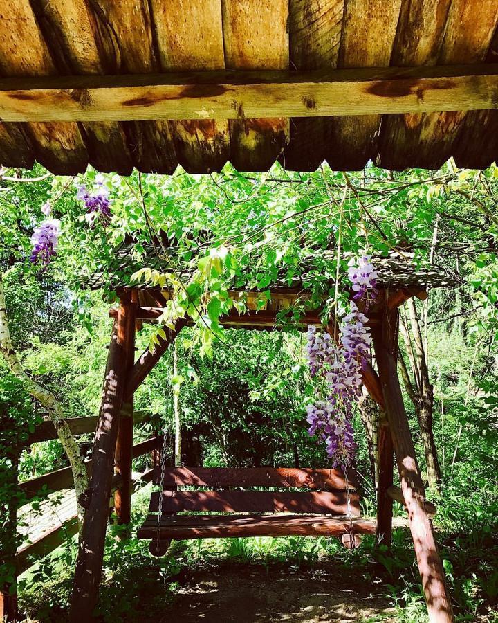 Băile Olăneşti Pension Casa Vanatorilor מראה חיצוני תמונה