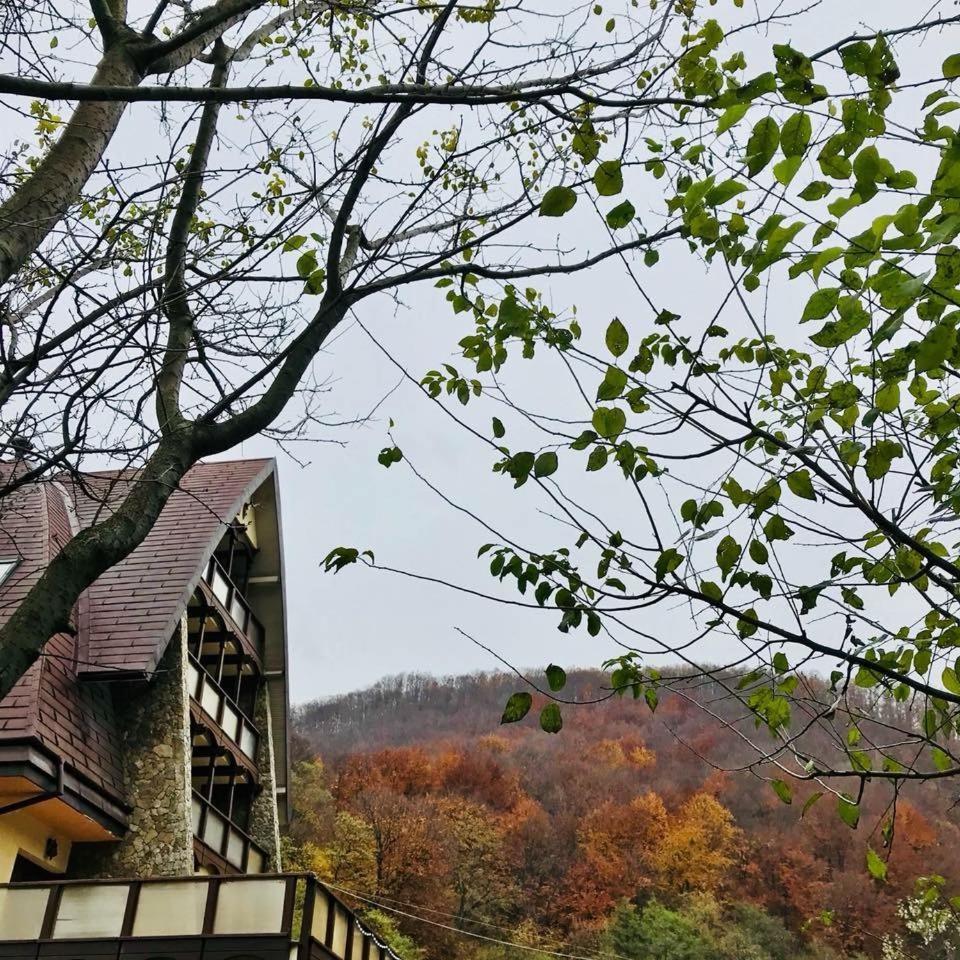 Băile Olăneşti Pension Casa Vanatorilor מראה חיצוני תמונה