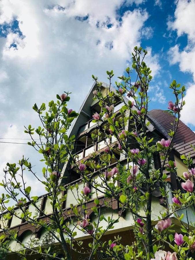 Băile Olăneşti Pension Casa Vanatorilor מראה חיצוני תמונה